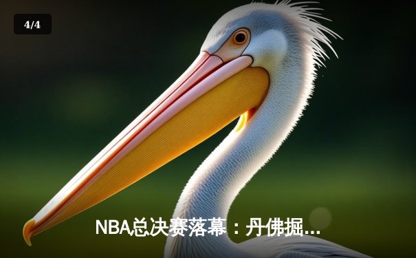 NBA总决赛落幕：丹佛掘金队力克热火，首夺总冠军 - 4