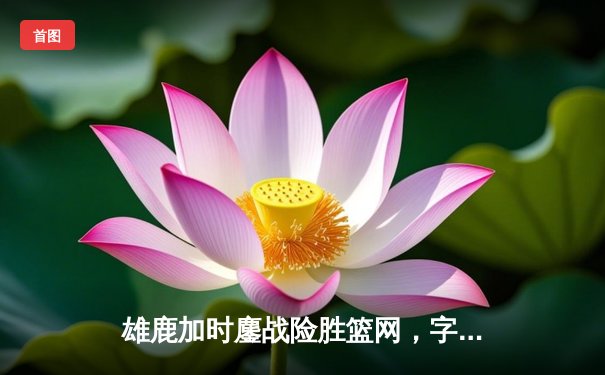 雄鹿加时鏖战险胜篮网，字母哥44分14篮板率队捍卫主场
